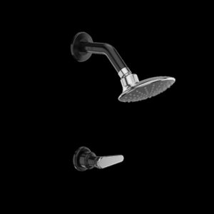 LINEA GRIVAL DUCHA REGADERA NOGAL NEGRO COSMOS (434375551)