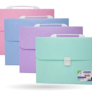 CARPETA ARCHIVADORA 13 BOLSILLOS CARTA COLORES SURTIDOS AH ROYAL (PAC4788)