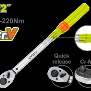 RACHE 1/2 DYLLU (DTWQ1D12)