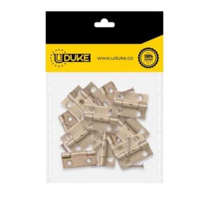 BISAGRA COMUN 3/4" DORADA C.24 PQT X 6 UDUKE