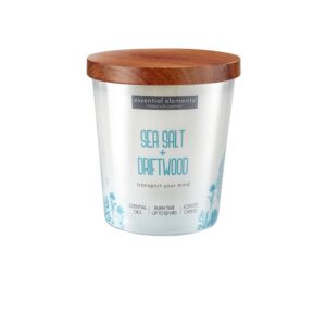 VELA 9 OZ ESSENTIAL ELEMENTS SEA SALT & DRIFTWOOD CANDLE LITE (4471368)