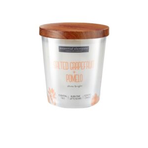 VELA 9 OZ ESSENTIAL ELEMENTS SALTED GRAPEFRUIT & POMELO CANDLE LITE (4471396)