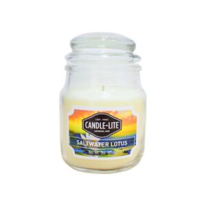 VELA 3 OZ SALTWATER LOTUS CANDLE LITE (4449330)
