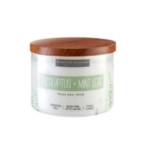 VELA 14.75 OZ ESSENTIAL ELEMENTS EUCALYPTUS & MINT LEAF CANDLE LITE (4472174)