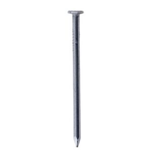 PUNTILLA COMUN CON CABEZA 1 1/2" PQT X 50 UDUKE