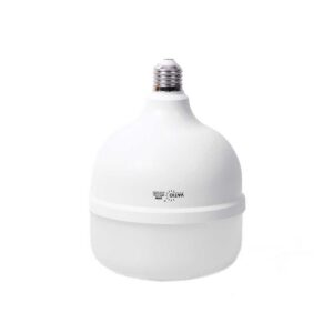 BOMBILLO LED 40W LUZ DIA E27 MULTIVOLTAGE (22009)