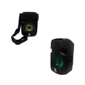 PARLANTE 5" NIATEC BLUETOOTH-FM-USB-MICRO SD-TWS-LUZ LED INCLUYE CORREA (NT-PB11)